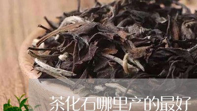 茶化石哪里产的最好/2023042295160