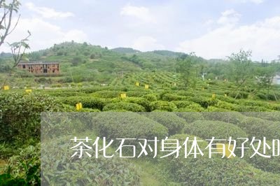 茶化石对身体有好处吗/2023060916269