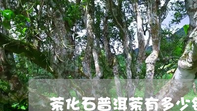 茶化石普洱茶有多少钱/2023062315230