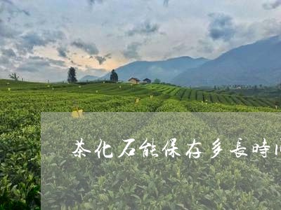 茶化石能保存多长时间/2023071649493