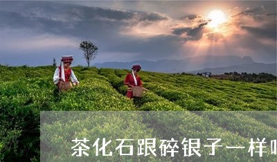 茶化石跟碎银子一样吗/2023092186037