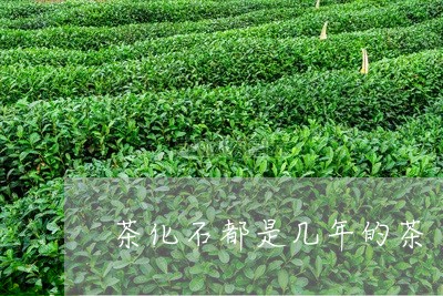 茶化石都是几年的茶/2023042213946