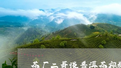 茶厂二哥谈普洱茶视频讲解/2023110834927