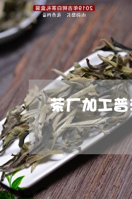 茶厂加工普洱茶价格/2023120572794