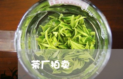 茶厂拍卖/2023090192617