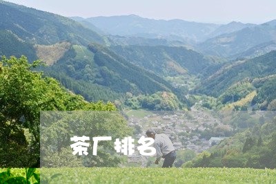 茶厂排名/2023042939093