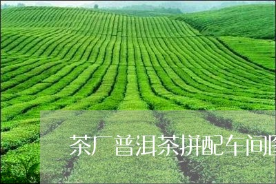 茶厂普洱茶拼配车间图片大全/2023052831594