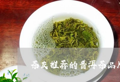 茶友推荐的普洱茶品牌排行榜/2023121893605