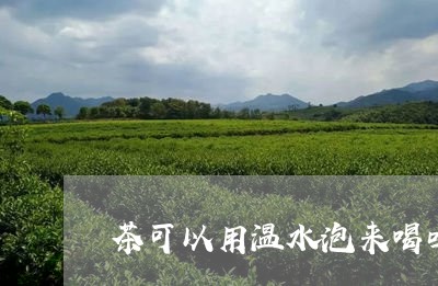 茶可以用温水泡来喝吗/2023071450573