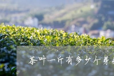 茶叶一斤有多少个芽头/2023092383025