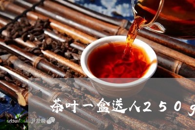 茶叶一盒送人250g茶叶少吗/2023053150714