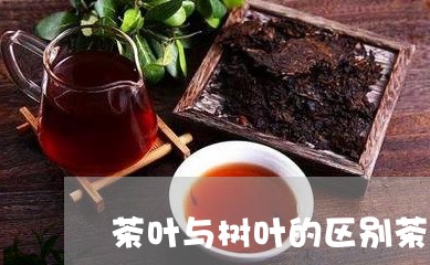 茶叶与树叶的区别茶叶与树叶的区别/2023060416258