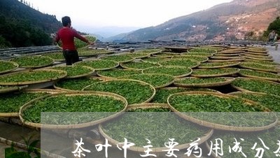 茶叶中主要药用成分茶叶好处/2023052654925