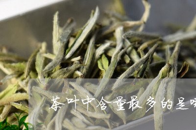 茶叶中含量最多的是哪些物质/2023052682037