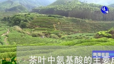 茶叶中氨基酸的主要成分是什么/2023053120615