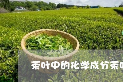 茶叶中的化学成分茶叶的结构图/2023053124026