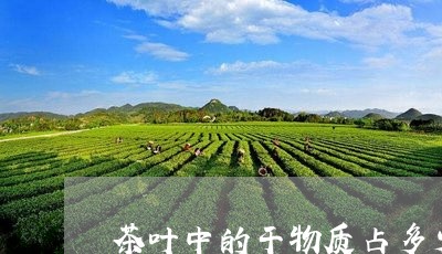 茶叶中的干物质占多少/2023061181692