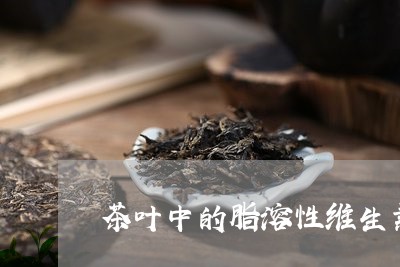 茶叶中的脂溶性维生素/2023092348360