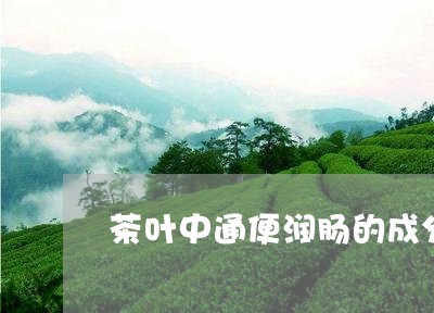 茶叶中通便润肠的成分/2023092218293