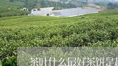 茶叶什么最好茶饼是越久越好吗/2023053188180