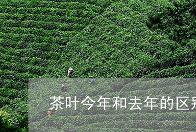 茶叶今年和去年的区别/2023061143704