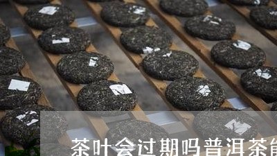 茶叶会过期吗普洱茶能喝吗/2023112537361