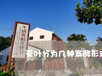 茶叶分为几种发酵形式代表茶叶/2023053143726