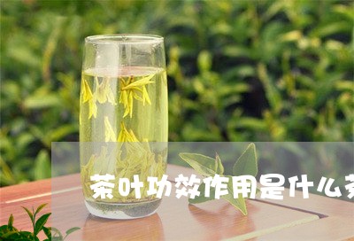 茶叶功效作用是什么茶叶的各种用途/2023060472825