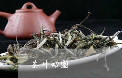 茶叶动图/2023121930818