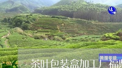 茶叶包装盒加工厂福鼎白茶/2023042824046