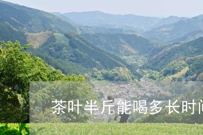 茶叶半斤能喝多长时间/2023092206249