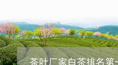 茶叶厂家白茶排名第一的是/2023042828483