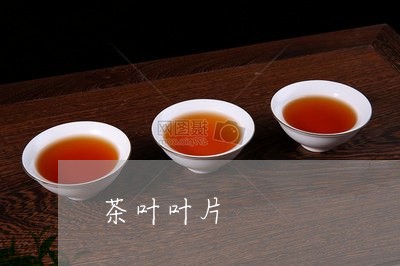 茶叶叶片/2023121936050