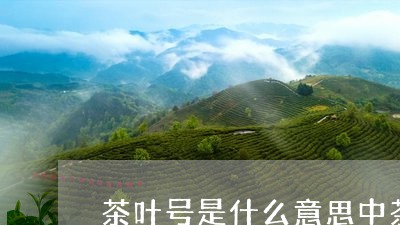 茶叶号是什么意思中茶的唛号/2023052722824