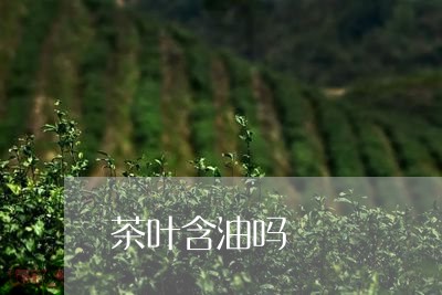 茶叶含油吗/2023041769878