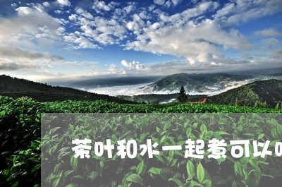 茶叶和水一起煮可以吗/2023061188169