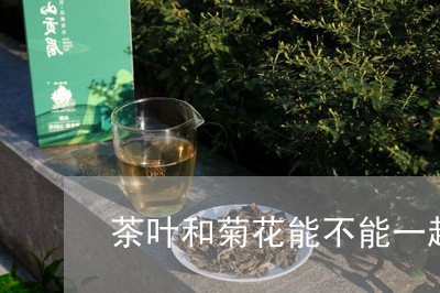 茶叶和菊花能不能一起泡着喝/2023052671503