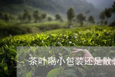 茶叶喝小包装还是散装/2023092329682