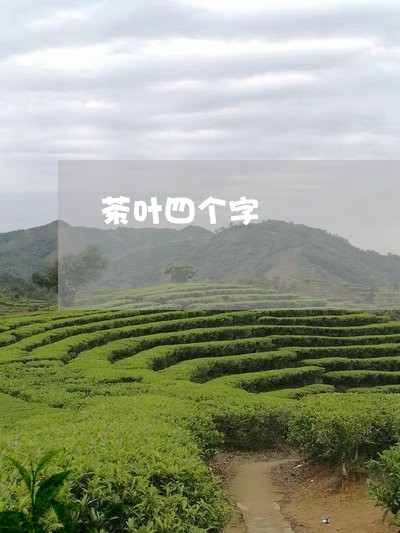 茶叶四个字/2023090274747