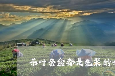 茶叶套盒都是先装的吗/2023092255038