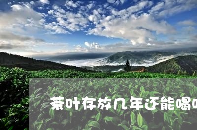 茶叶存放几年还能喝吗/2023092238159