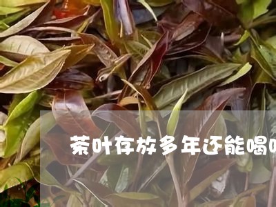 茶叶存放多年还能喝吗/2023092226928