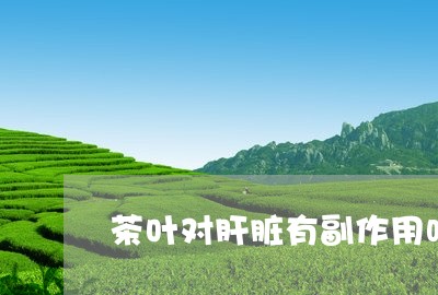 茶叶对肝脏有副作用吗/2023061127271