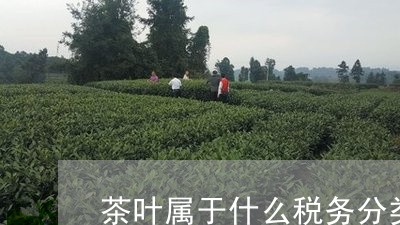 茶叶属于什么税务分类/2023061156248