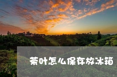 茶叶怎么保存放冰箱/2023071109692