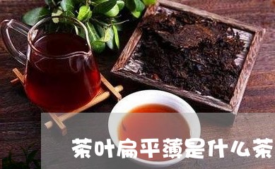 茶叶扁平薄是什么茶/2023042680837