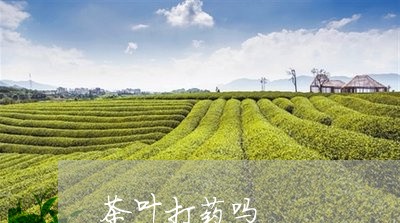 茶叶打药吗/2023041892040