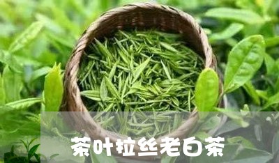 茶叶拉丝老白茶/2023060981926