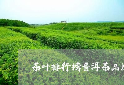 茶叶排行榜普洱茶品牌/2023121853937