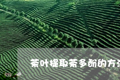 茶叶提取茶多酚的方法/2023092254139